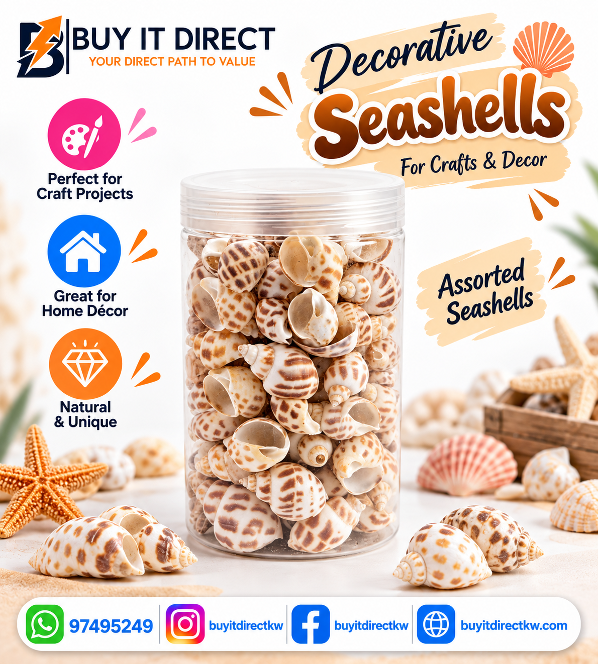 أصداف بحرية طبيعية